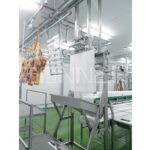 Station for rough cutting and selection of veal